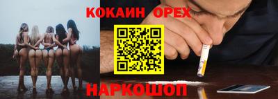 apvp Бийск
