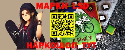 apvp Бийск