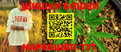 apvp Бийск