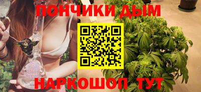 apvp Бийск